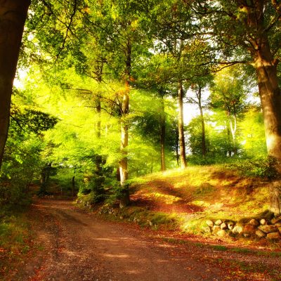 Leben berühren – Befreie Deine UrNatur